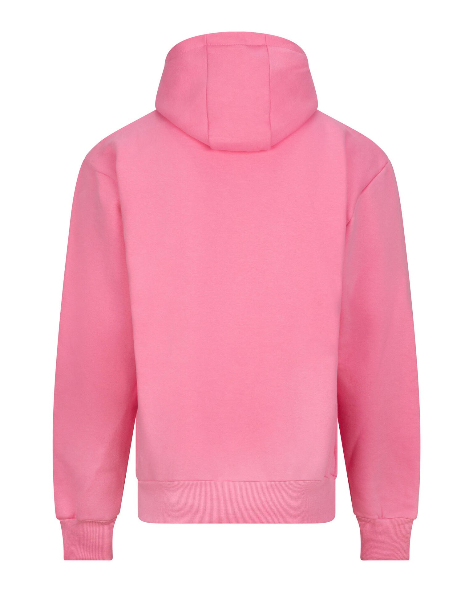 Paksem Oversized pusa Unisex Signature Heavyweight Hoodie - Image 17