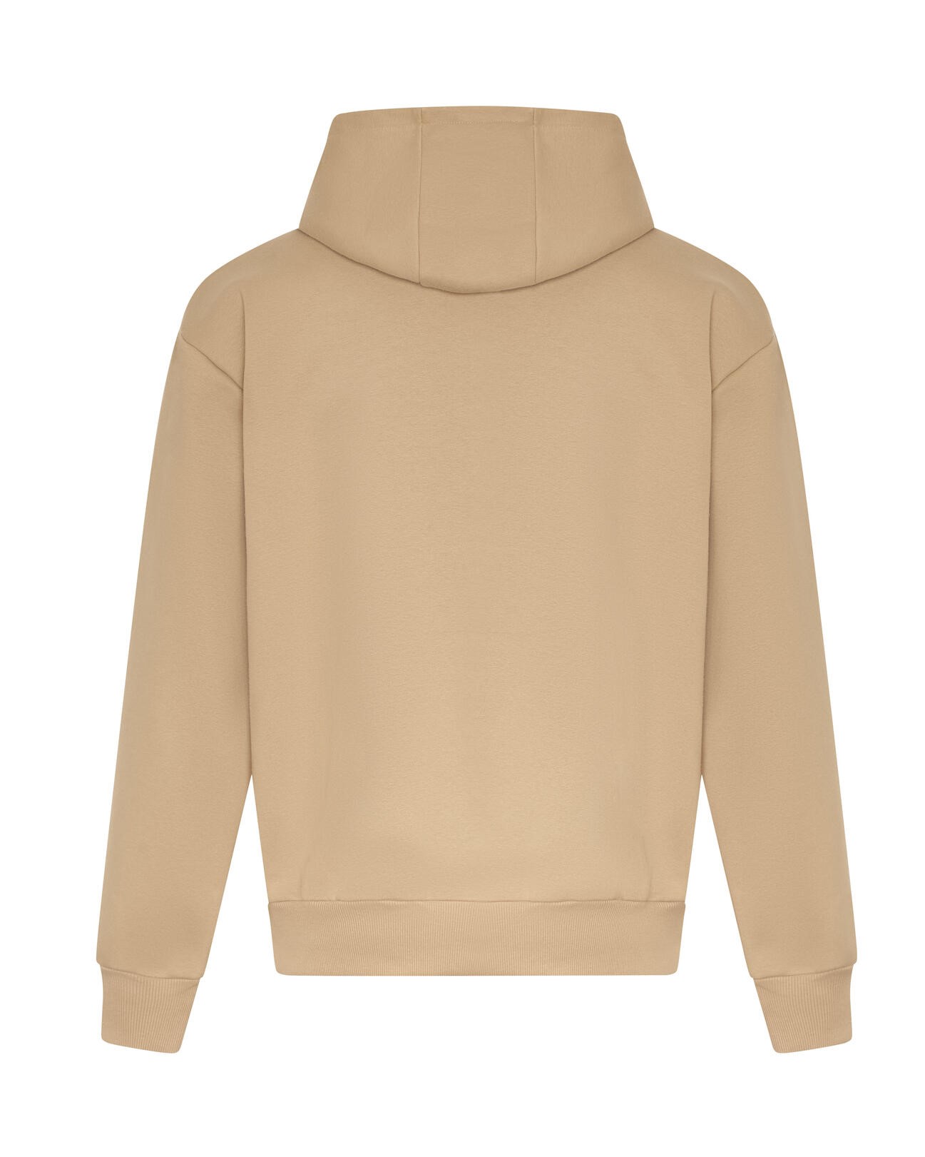 Paksem Oversized pusa Unisex Signature Heavyweight Hoodie - Image 19