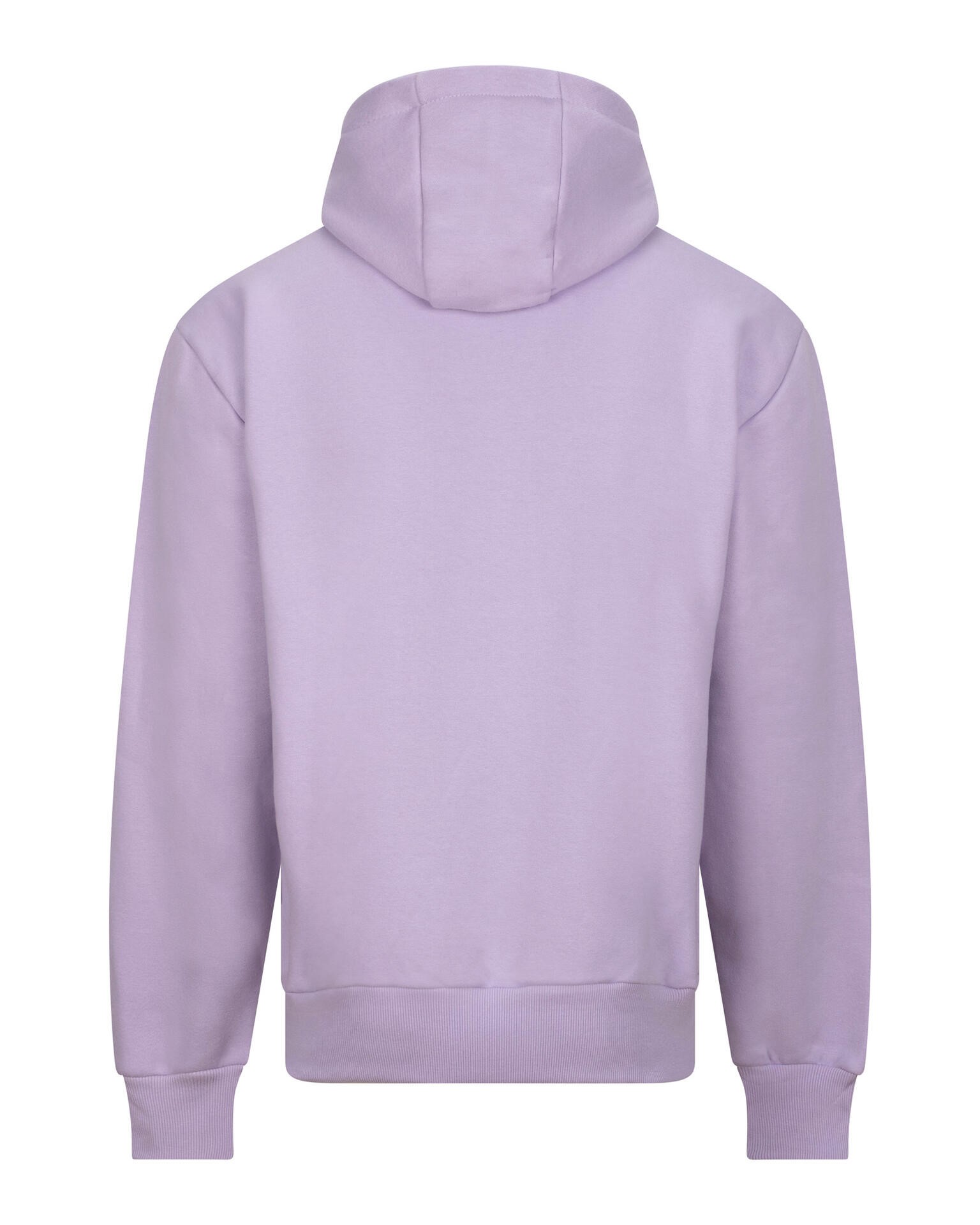 Paksem Oversized pusa Unisex Signature Heavyweight Hoodie - Image 26