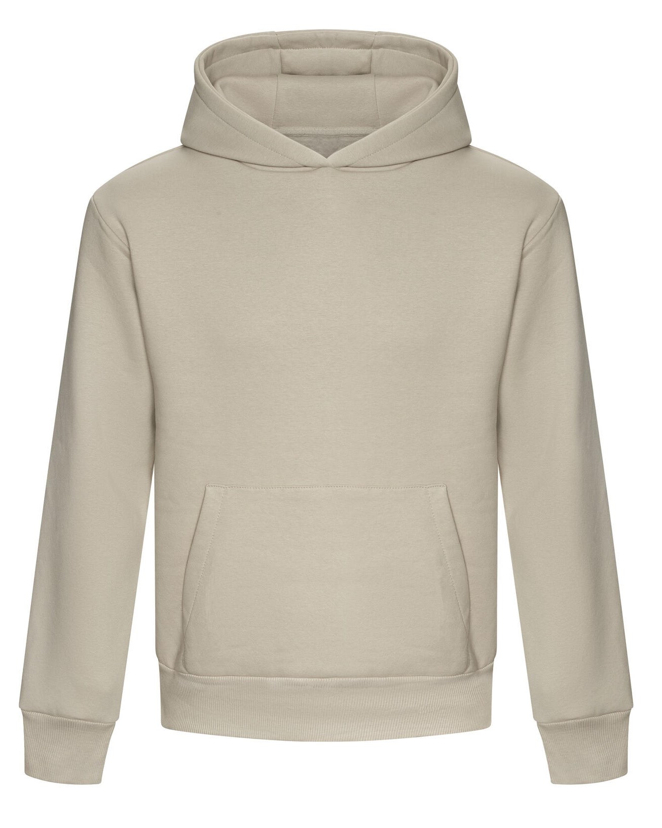 Paksem Oversized pusa Unisex Signature Heavyweight Hoodie - Image 46