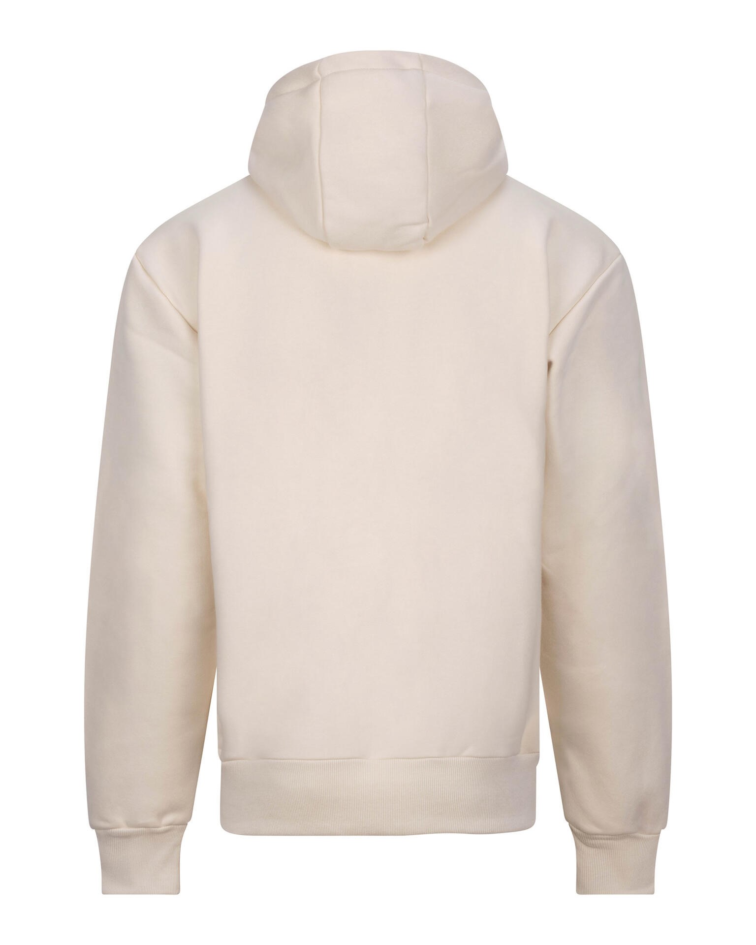 Paksem Oversized pusa Unisex Signature Heavyweight Hoodie - Image 23